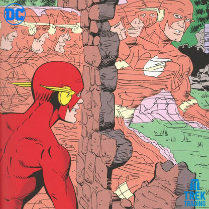 DC Comics Graphic Novel Collection - The Flash: Born To Run Vol 19