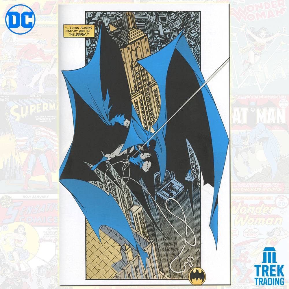 DC Comics Graphic Novel Collection - 18cm x 26.5cm - Batman: Year Two